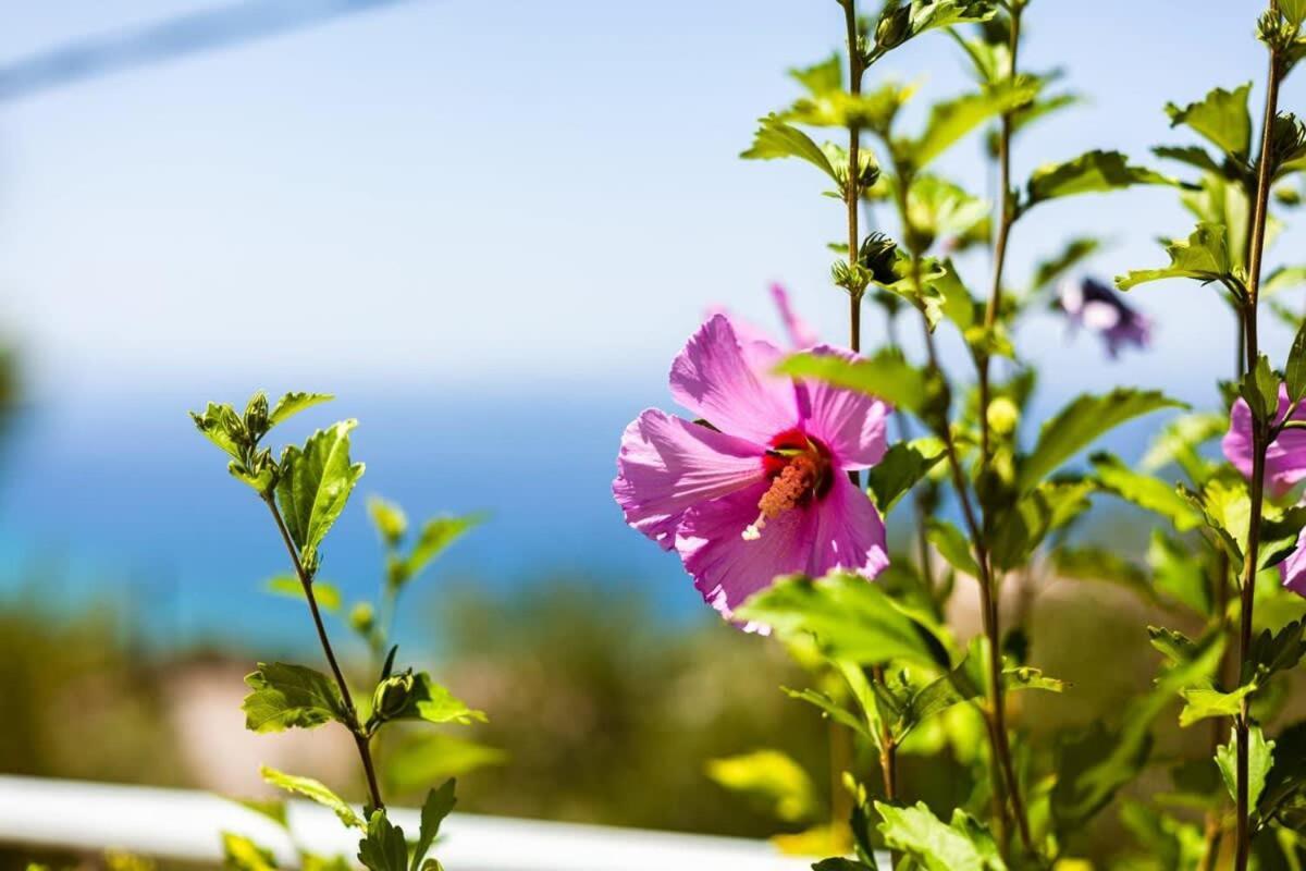 Aigli Summer Getaway - Seaview Lux Retreat แวร์กา กาลามาตา ภายนอก รูปภาพ